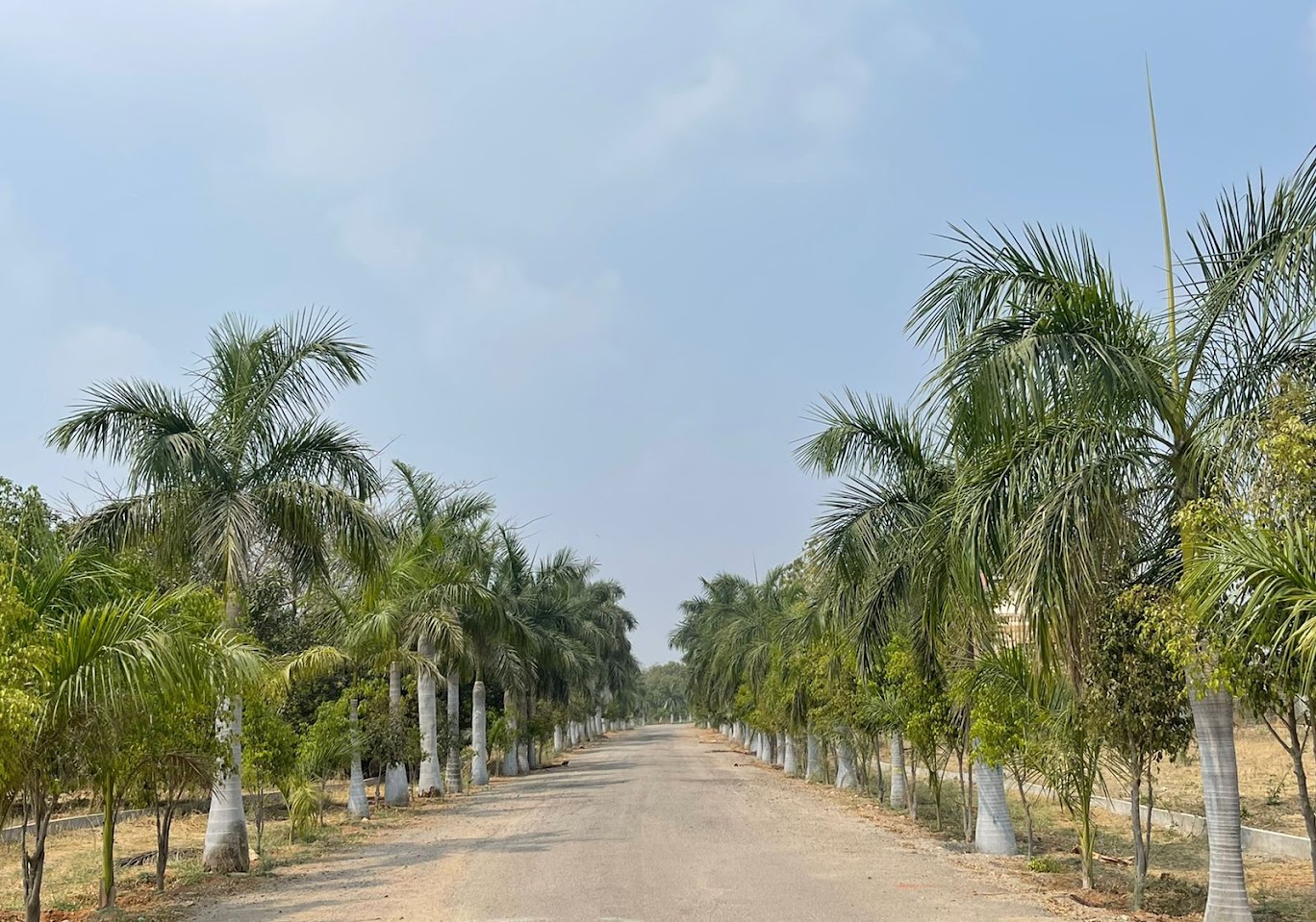 Entrance to club 9-67c0fee537e3